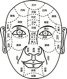 面相診断|人相（顔相）｜占い神貴